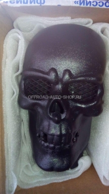 Череп на шноркель, г. Санкт-Петербург